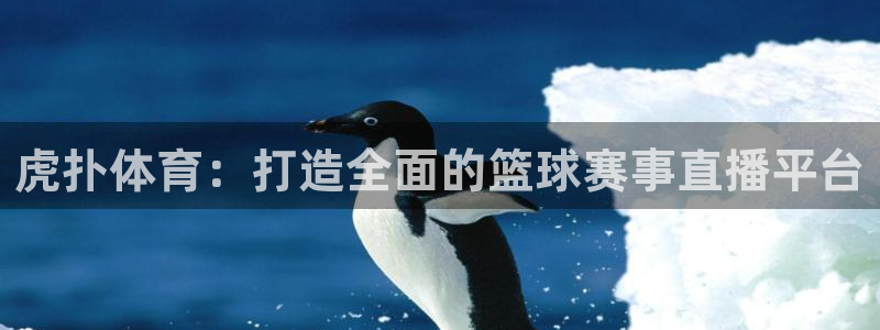 极速直播nba体育直播：虎扑体育：打造全面的篮球赛事直播平台
