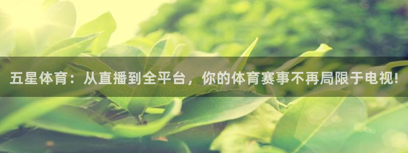 足球直播 极速体育：五星体育：从直播到全平台，你的体育赛事不再局限于电视!
