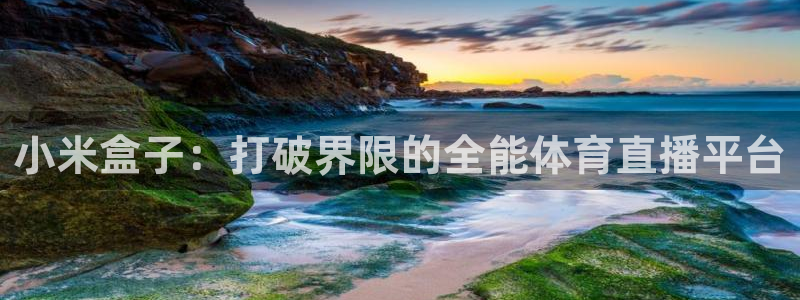 王者极速体育直播：小米盒子：打破界限的全能体育直播平台