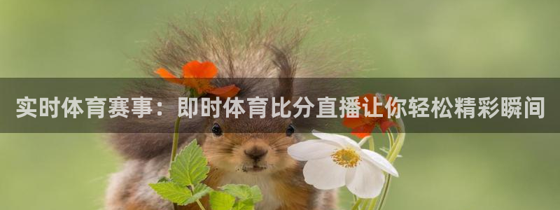 极速体育nba在线直播免费观看：实时体育赛事：即时体育比分直播让你轻松精彩瞬间