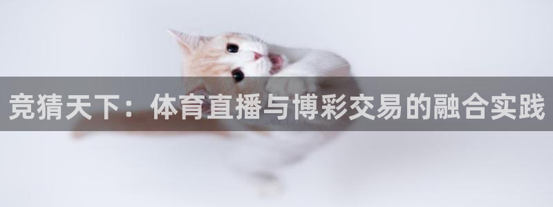 nba体育极速直播吧：竞猜天下：体育直播与博彩交易的融合实践