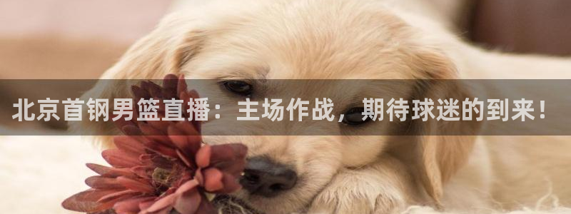 极速体育nba直播：北京首钢男篮直播：主场作战，期待球迷的到来！