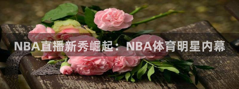 极速体育直播网：NBA直播新秀崛起：NBA体育明星内幕