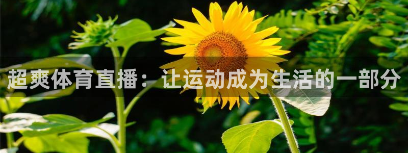 极速体育免费nba直播吧：超爽体育直播：让运动成为生活的一部分