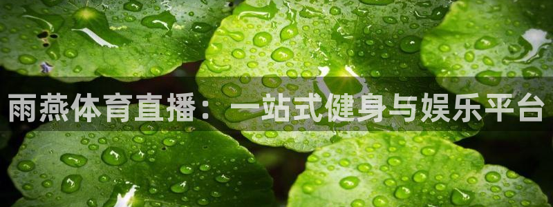 免费nba直播 极速体育：雨燕体育直播：一站式健身与娱乐平台