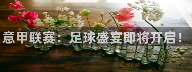 极速老牌体育直播赛程：意甲联赛：足球盛宴即将开启！