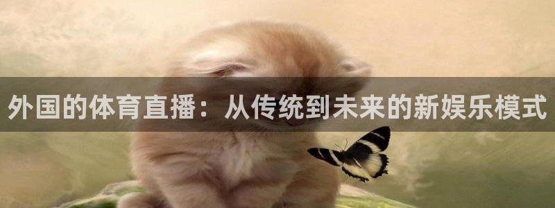 斗球直播极速版：外国的体育直播：从传统到未来的新娱乐模式