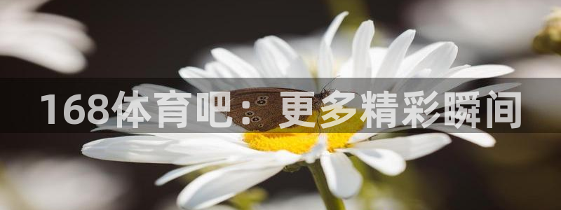 极速体育cba直播：168体育吧：更多精彩瞬间