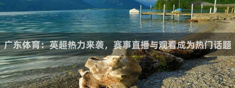 极速直播吧体育直播：广东体育：英超热力来袭，赛事直播与观看成为热门话题