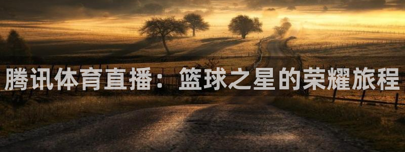 体育直播极速：腾讯体育直播：篮球之星的荣耀旅程