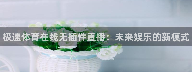 极速直播吧nba直播：极速体育在线无插件直播：未来娱乐的新模式